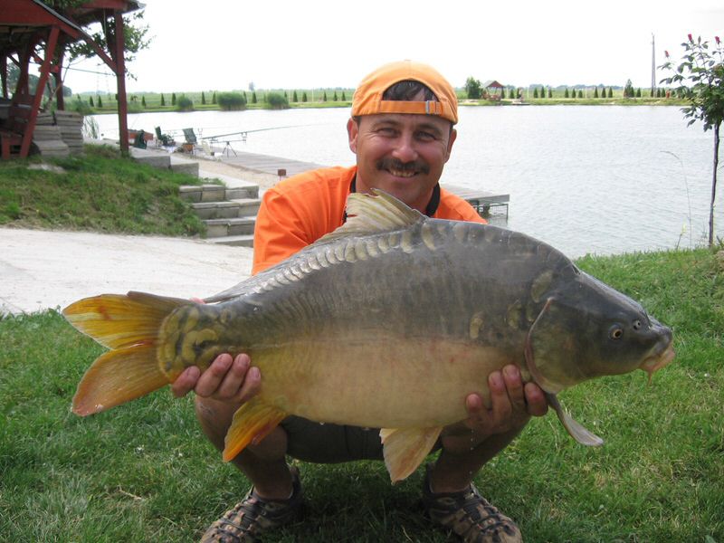 halak 1511.jpg